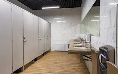 Cum să alegi cel mai potrivit perete despărțitor pentru toaletă?