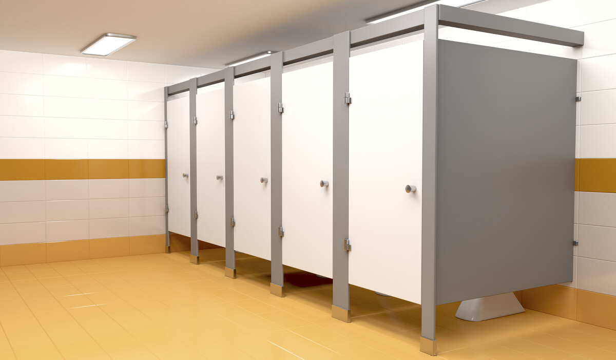 История развития перегородок для санузлов: Перегородки ALT_118 как пример современной инновации