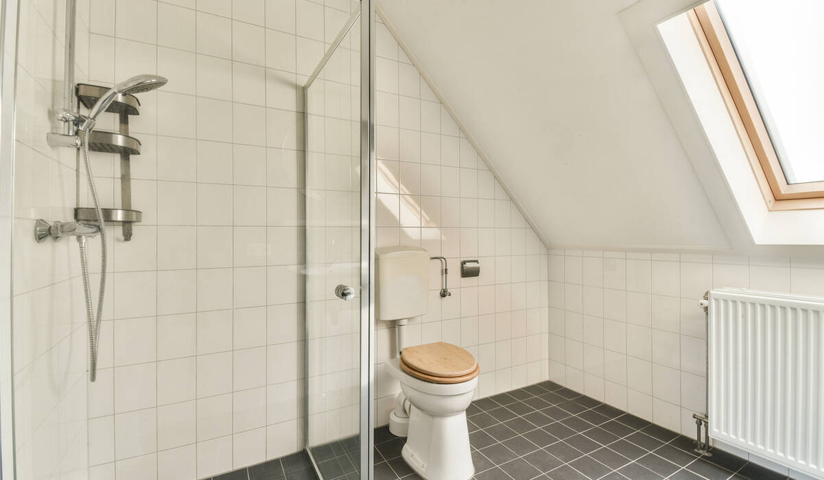 История развития перегородок для санузлов: Перегородки ALT_118 как пример современной инновации